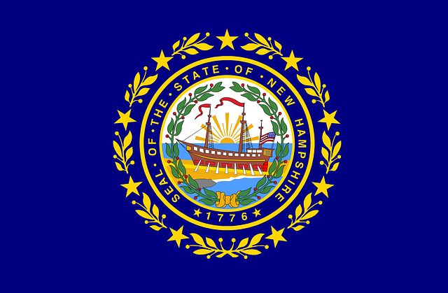New Hampshire to Consider Mental Health Incident Review Board